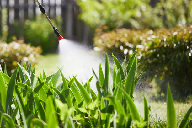 24/7 Emergency Cockroach Control experts in Oak Ridge, FL