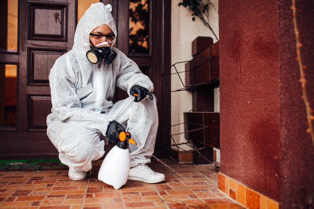Reliable Cockroach Control contractor in Oak Ridge, FL by Nex Pest Control